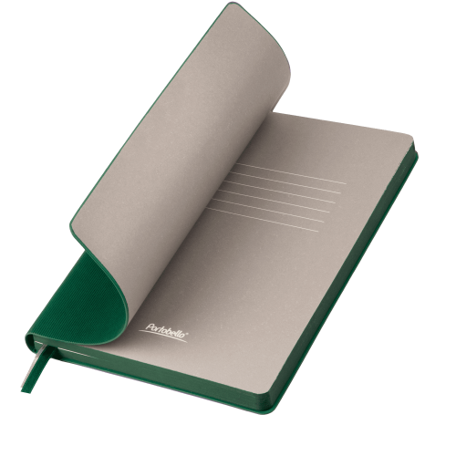 Ежедневник Rain недатированный, зеленый ; - купить бизнесс-сувениры в Воронеже