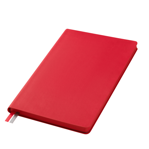 Ежедневник Rain недатированный, красный ; - купить необычные подарки в Воронеже