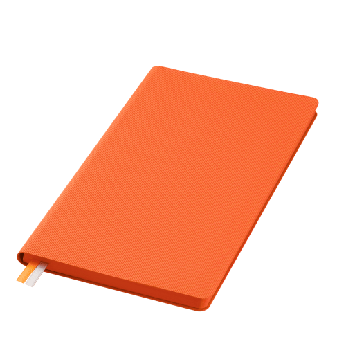 Ежедневник Rain недатированный, оранжевый ; - купить необычные подарки в Воронеже