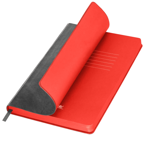 Ежедневник River side недатированный, серый/красный ; - купить бизнесс-сувениры в Воронеже