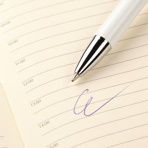 Шариковая ручка Arctic; - купить именные сувениры в Воронеже