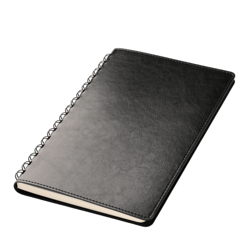 Ежедневник Виста Нео ; - купить необычные подарки в Воронеже