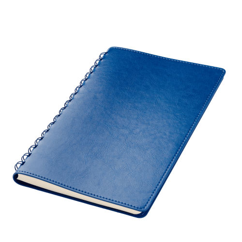 Ежедневник Виста Нео ; - купить необычные сувениры в Воронеже