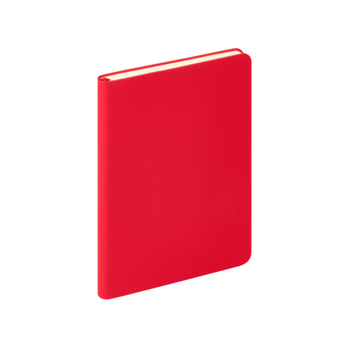 Ежедневник Спарк мини ; - купить именные сувениры в Воронеже