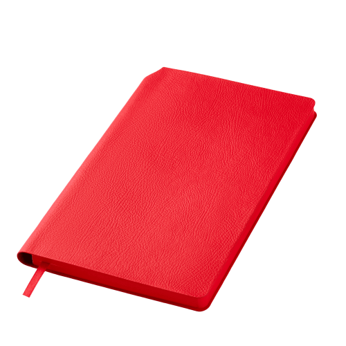 Ежедневник Молто ; - купить необычные подарки в Воронеже