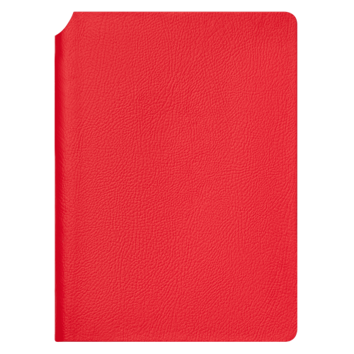 Ежедневник Молто ; - купить необычные сувениры в Воронеже