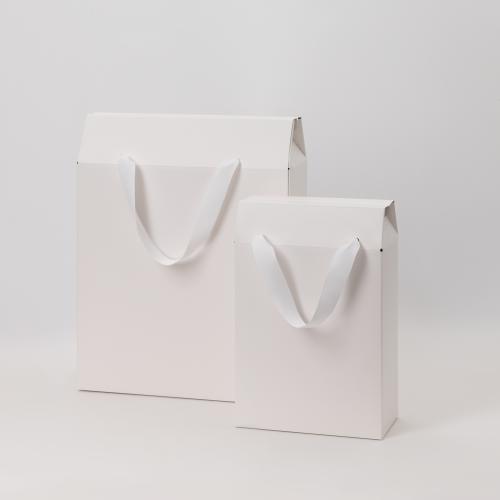 Подарочная коробка-пакет универсальная малая; - купить именные сувениры в Воронеже