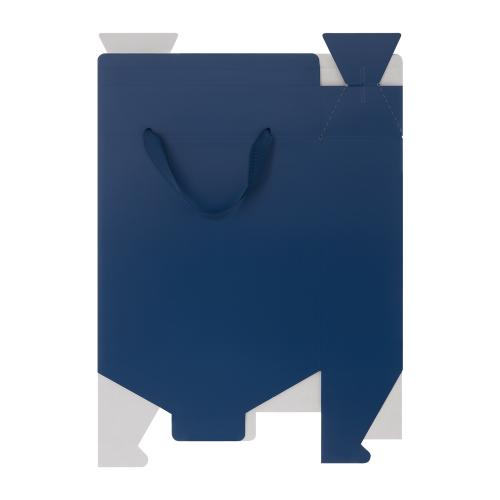 Подарочная коробка-пакет универсальная большая; - купить необычные сувениры в Воронеже