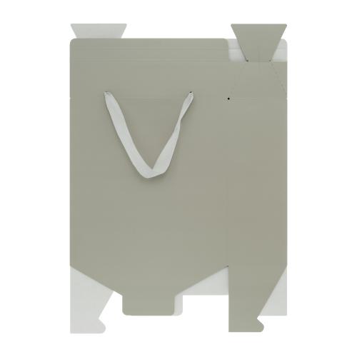 Подарочная коробка-пакет универсальная большая; - купить необычные сувениры в Воронеже