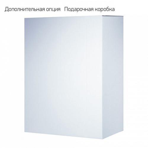 Коробка под сумку/рюкзак, картон; - купить бизнесс-сувениры в Воронеже