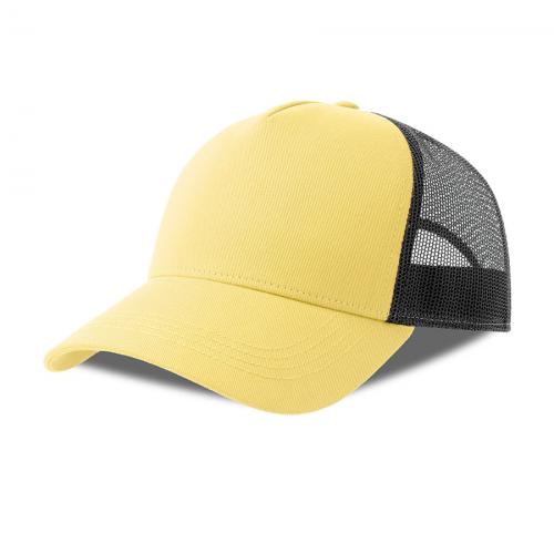 светло-желтый, чёрный, #F8E9BE