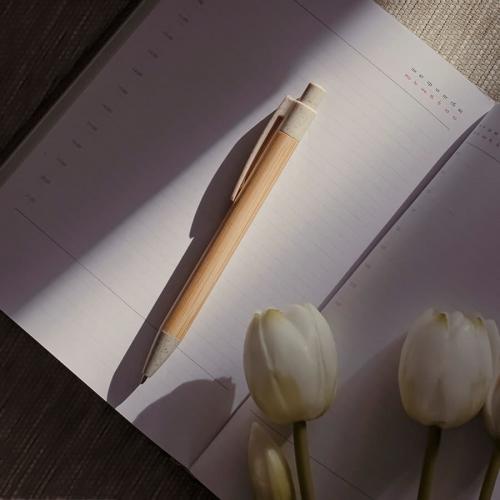 Ручка шариковая N17; - купить необычные подарки в Воронеже