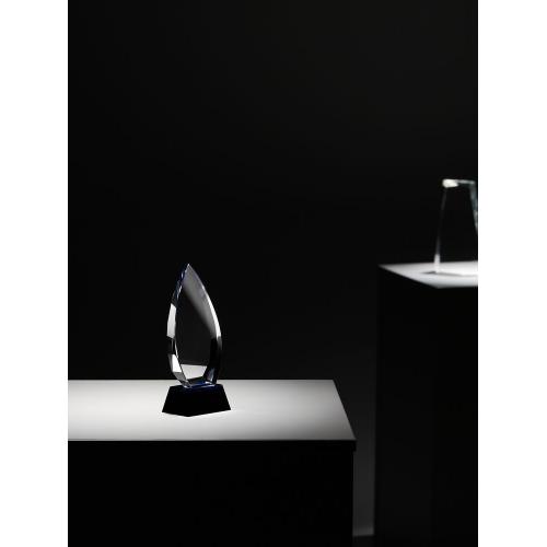 Награда Droplet; - купить именные сувениры в Воронеже