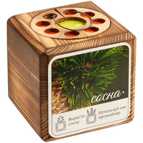 Набор для выращивания с органайзером «Экокуб Burn»; - купить бизнесс-сувениры в Воронеже