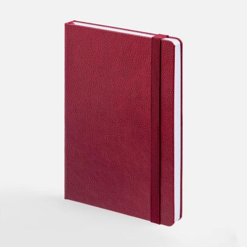 Ежедневник Nova, недатированный; - купить необычные подарки в Воронеже