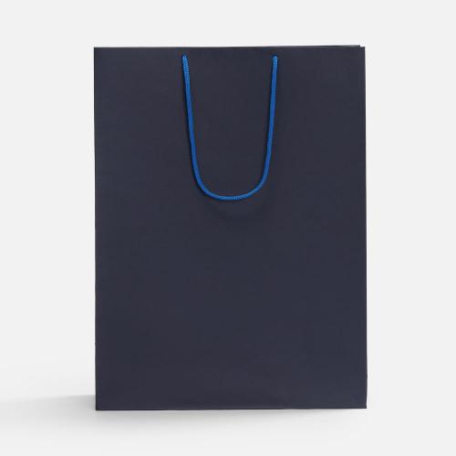 Пакет бумажный Porta XL; - купить необычные подарки в Воронеже