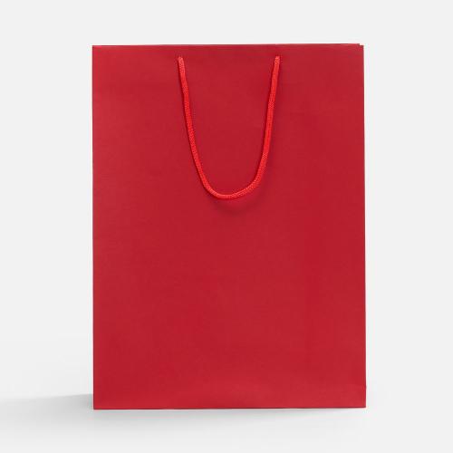 Пакет бумажный Porta XL; - купить необычные подарки в Воронеже