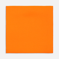 Лейбл тканевый Epsilon, L, оранжевый неон