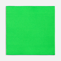 Лейбл тканевый Epsilon, L, зеленый неон