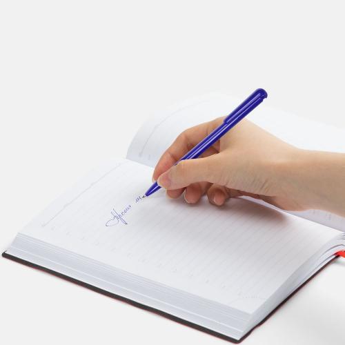 Ручка шариковая Penpal; - купить именные сувениры в Воронеже