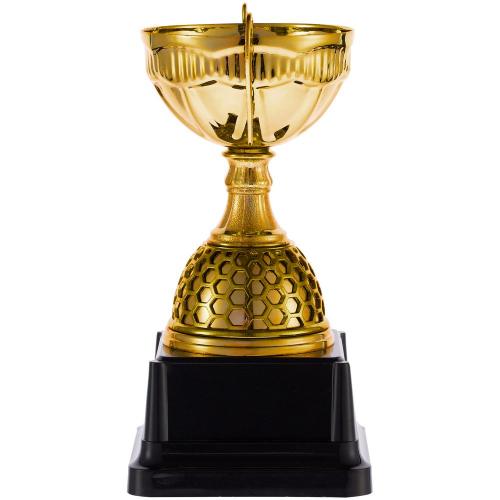 Кубок Meritus, большой; - купить необычные подарки в Воронеже