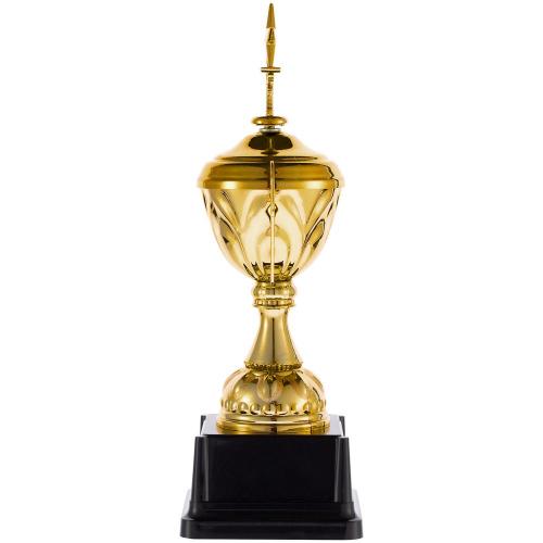 Кубок Top Star; - купить необычные подарки в Воронеже