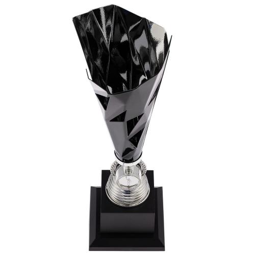 Кубок-факел Flamous Glory; - купить именные сувениры в Воронеже