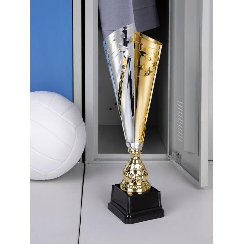 Кубок-факел Flamous Fusion; - купить именные сувениры в Воронеже