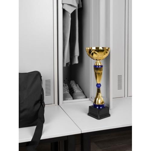 Кубок Awardee, большой; - купить подарки с логотипом в Воронеже