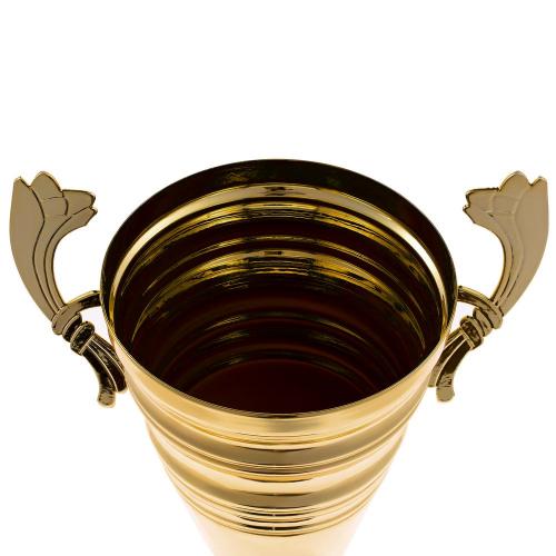 Кубок Recordsman; - купить необычные сувениры в Воронеже