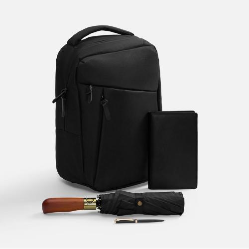 Набор Remini Travel; - купить бизнесс-сувениры в Воронеже