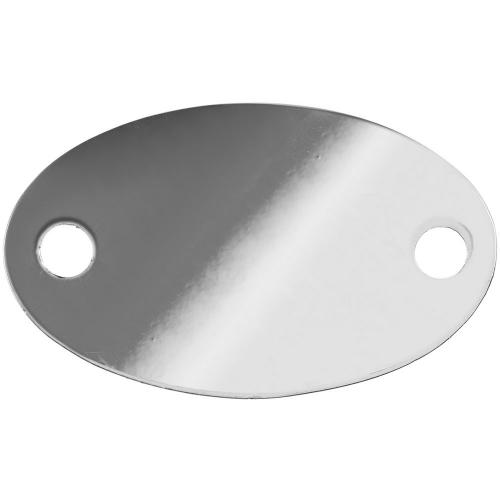 Шильдик металлический Alfa Oval; - купить бизнесс-сувениры в Воронеже