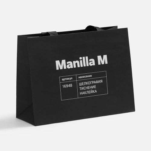 Пакет бумажный Manilla L; - купить подарки с логотипом в Воронеже