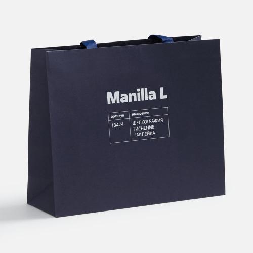 Пакет бумажный Manilla L; - купить именные сувениры в Воронеже