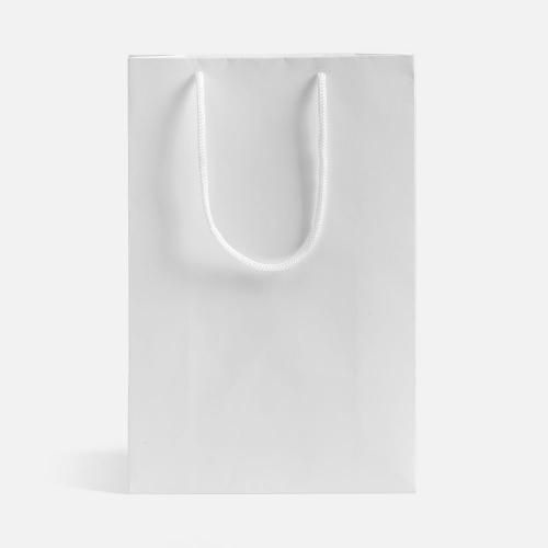 Пакет бумажный с ламинацией Lami S; - купить необычные подарки в Воронеже