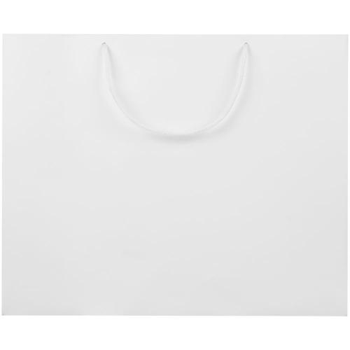 Пакет бумажный с ламинацией Lami Tote L; - купить необычные подарки в Воронеже