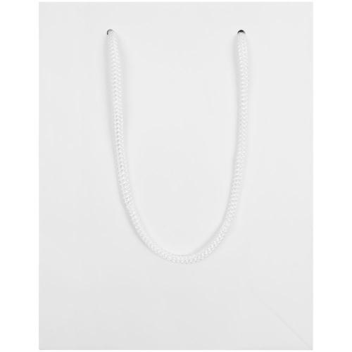 Пакет бумажный Vid S; - купить необычные подарки в Воронеже