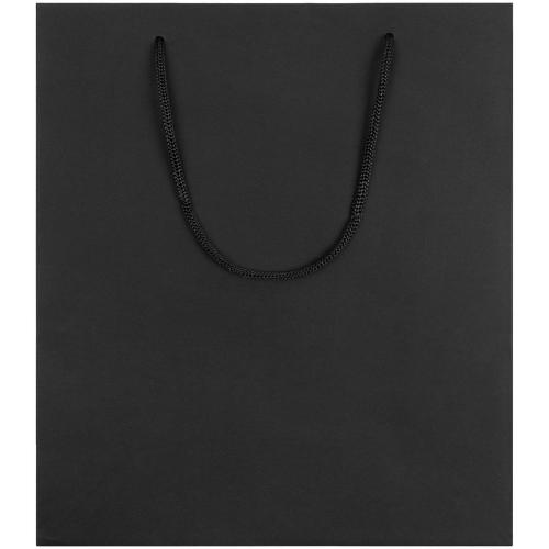 Пакет бумажный Vid L; - купить необычные подарки в Воронеже