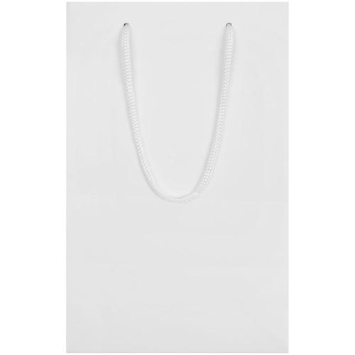 Пакет бумажный Waski S; - купить необычные подарки в Воронеже