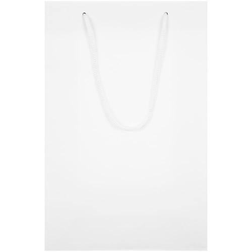 Пакет бумажный Plat M; - купить необычные подарки в Воронеже