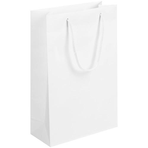 Пакет бумажный Plat M; - купить бизнесс-сувениры в Воронеже