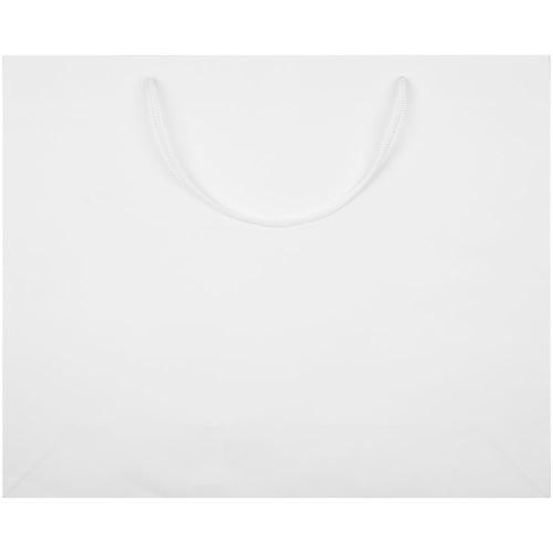 Пакет бумажный Plat L; - купить необычные подарки в Воронеже