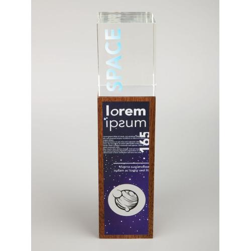 Стела Standpoint, ver.2; - купить именные сувениры в Воронеже