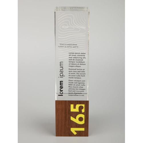 Стела Standpoint; - купить именные сувениры в Воронеже