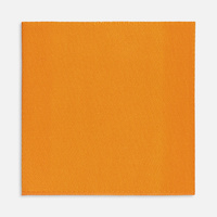 Лейбл тканевый Epsilon, L, оранжевый