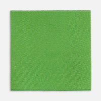 Лейбл тканевый Epsilon, L, зеленый (оливковый)