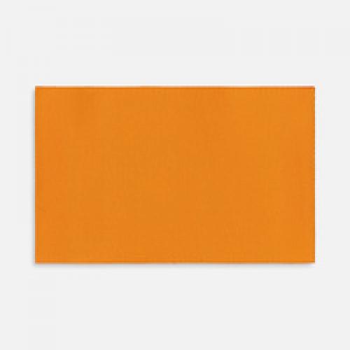 Лейбл тканевый Epsilon, XL, оранжевый