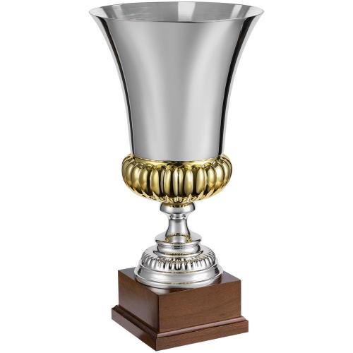 Кубок Erfolg; - купить необычные подарки в Воронеже