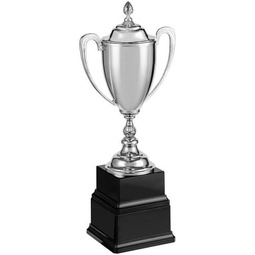 Кубок Grandee; - купить необычные подарки в Воронеже