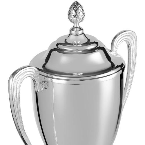 Кубок Grandee; - купить необычные сувениры в Воронеже